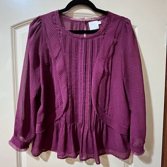 ANTHROPOLOGIE HD IN PARIS Thistleberry Gingham Sheer Blouse Cranberry Women’s 4 - Picture 1 of 7